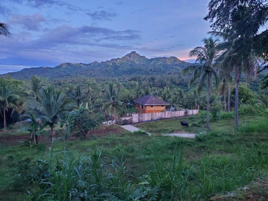 Modern Bahay Kubo In A Farm Near Tagaytay Villa Tagaytay City Dış mekan fotoğraf